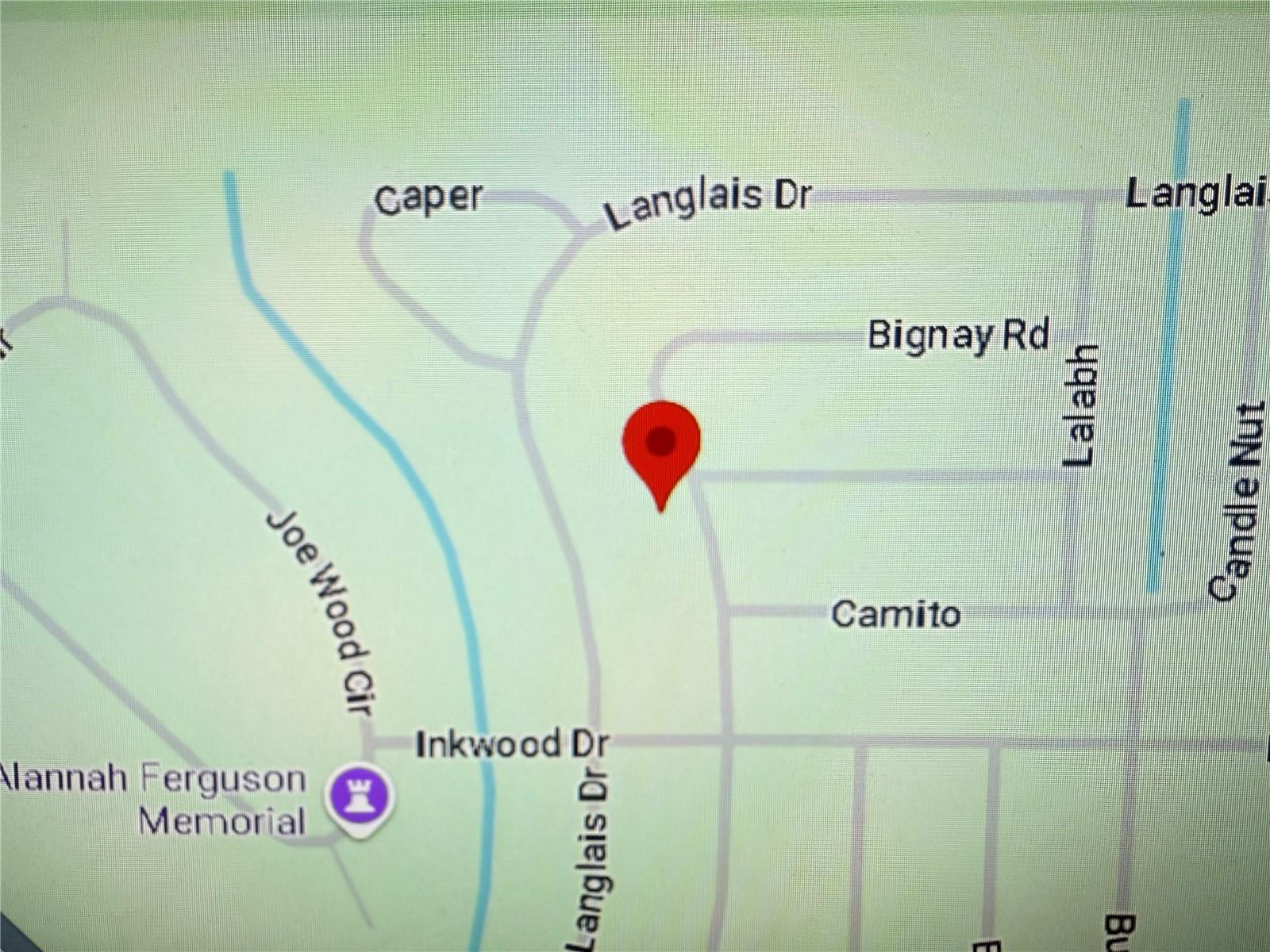 Bignay Road