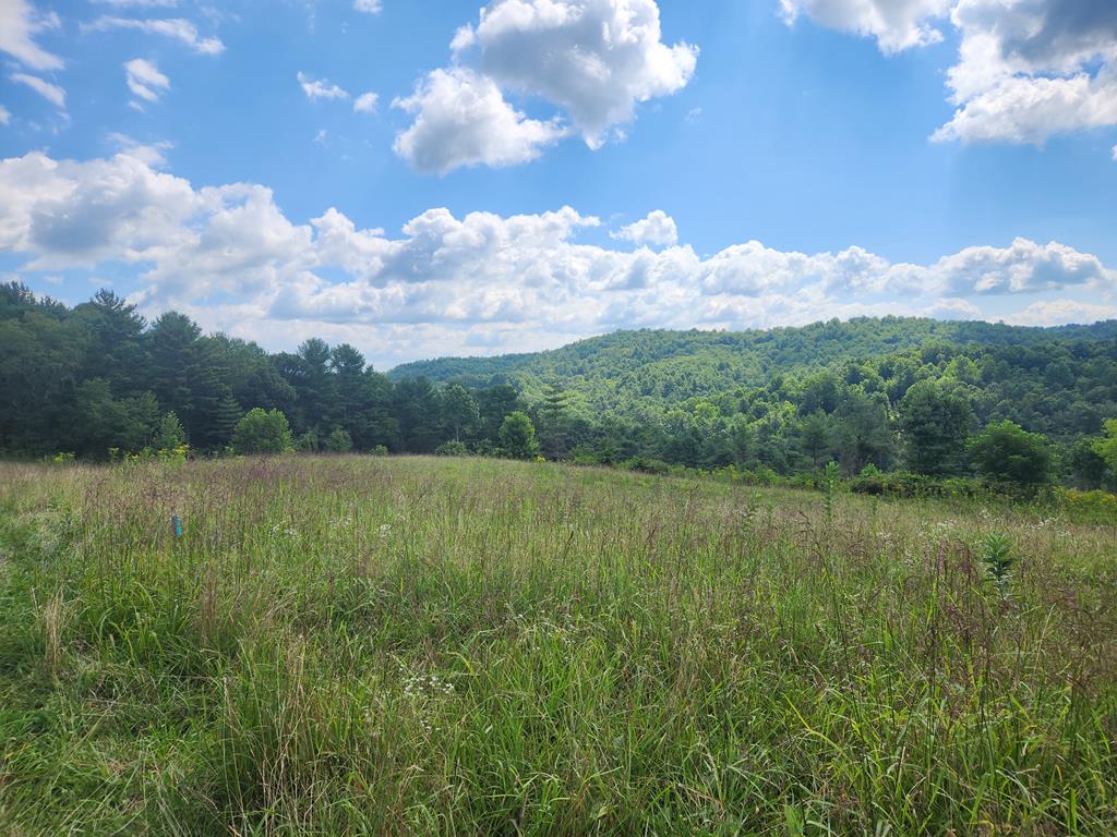 Land for sale in Galax, Virginia, 88854