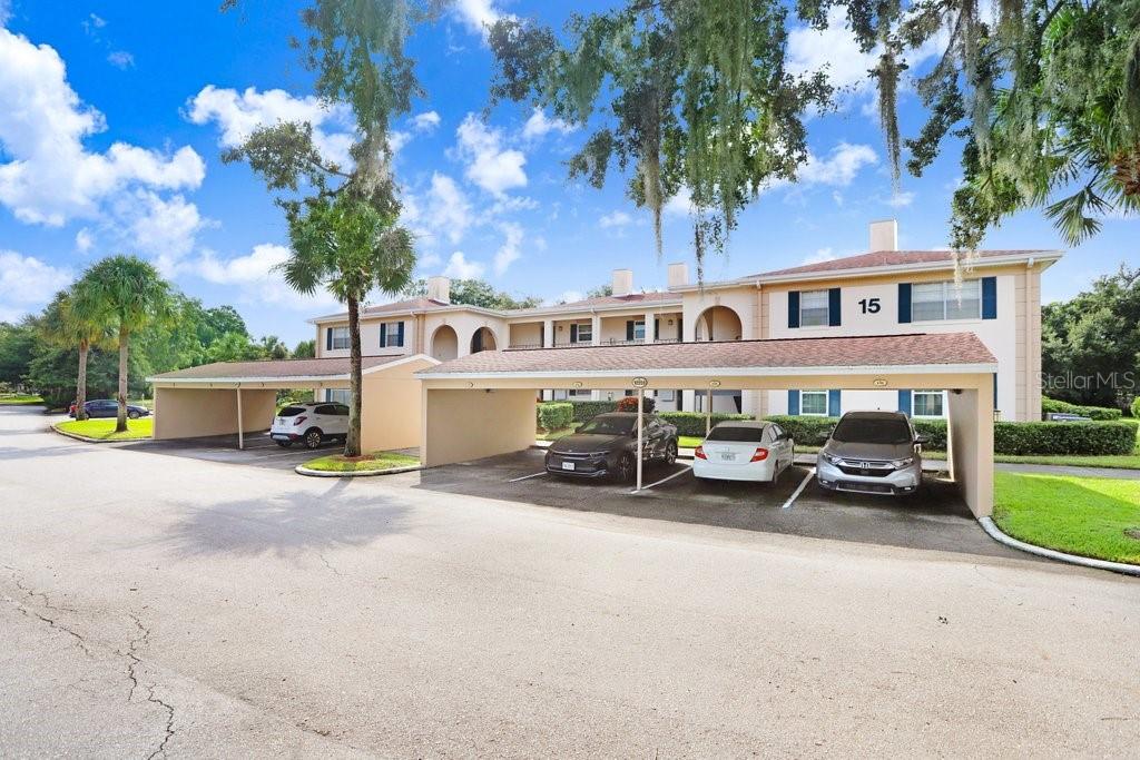 10359 Carrollwood Lane 157