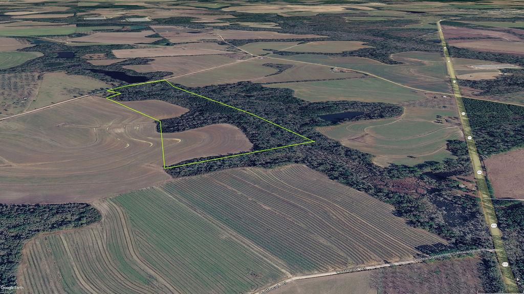 58 plus or minus acre recreational tract with homesite possibilities! This area supports strong populations of deer, dove, turkey, and hogs. Whether you're looking for a place to possibly live on or just a place for a hunting retreat this property offers lots of potential. Call your realtor to have a look.