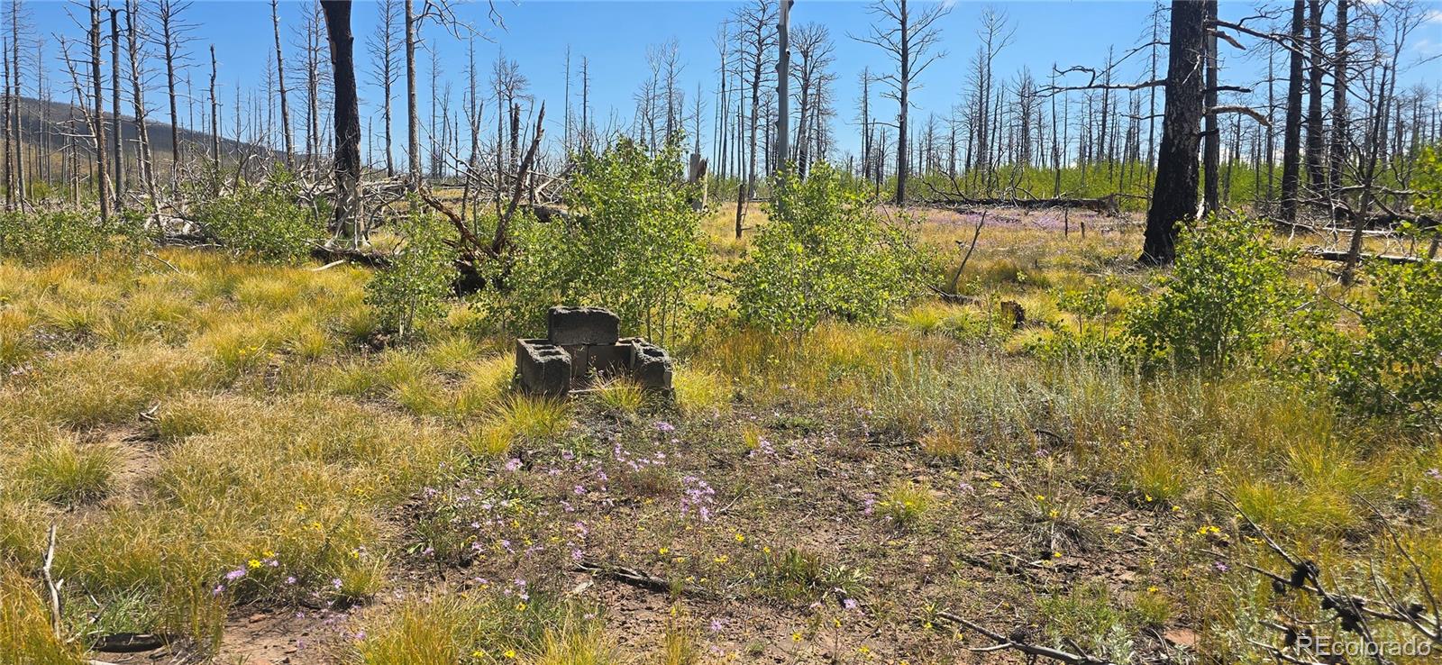 Lot 1242 Granville Loop