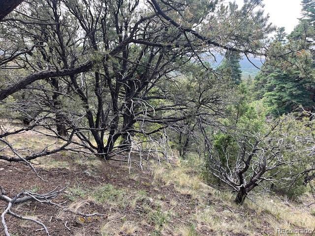 314 Arrastre Road