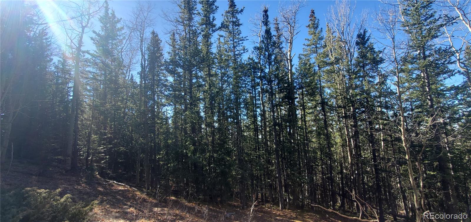 Lot 6581 Ackerman Road