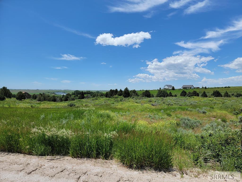 1635 Ashton Hill Loop