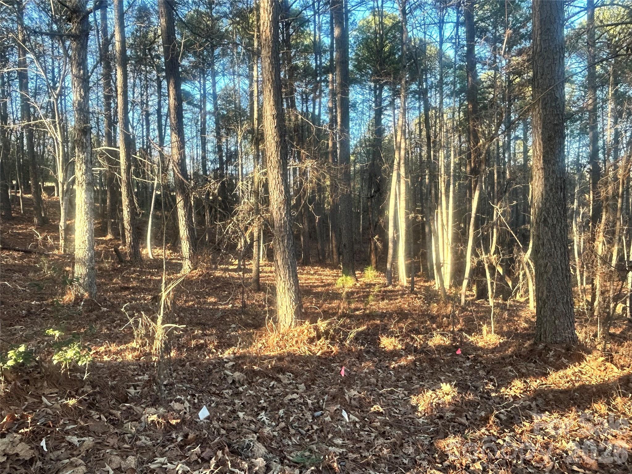 5501 Bridgewater Drive