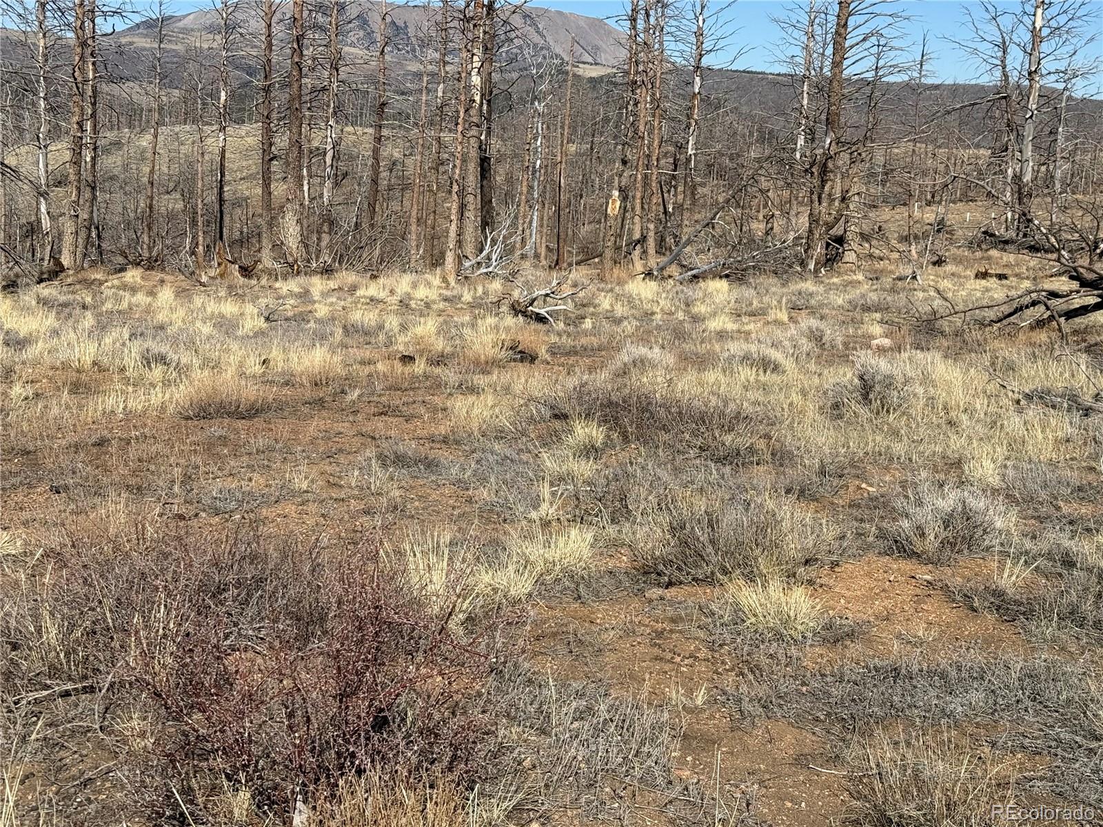 Lot 385 Soubry Place