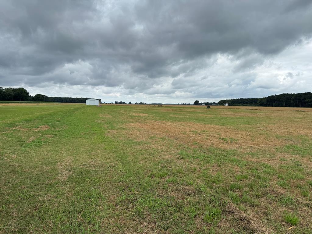 Two acres of cleared land in New Church.  Septic and outbulding on site.  Ready to build.  Located just a few minutes off of Route 13 and a short distance to shopping and restaurants.  Easy commute to NASA/Wallops Flight Facility and Chincoteague & the beach at Assateague Island.