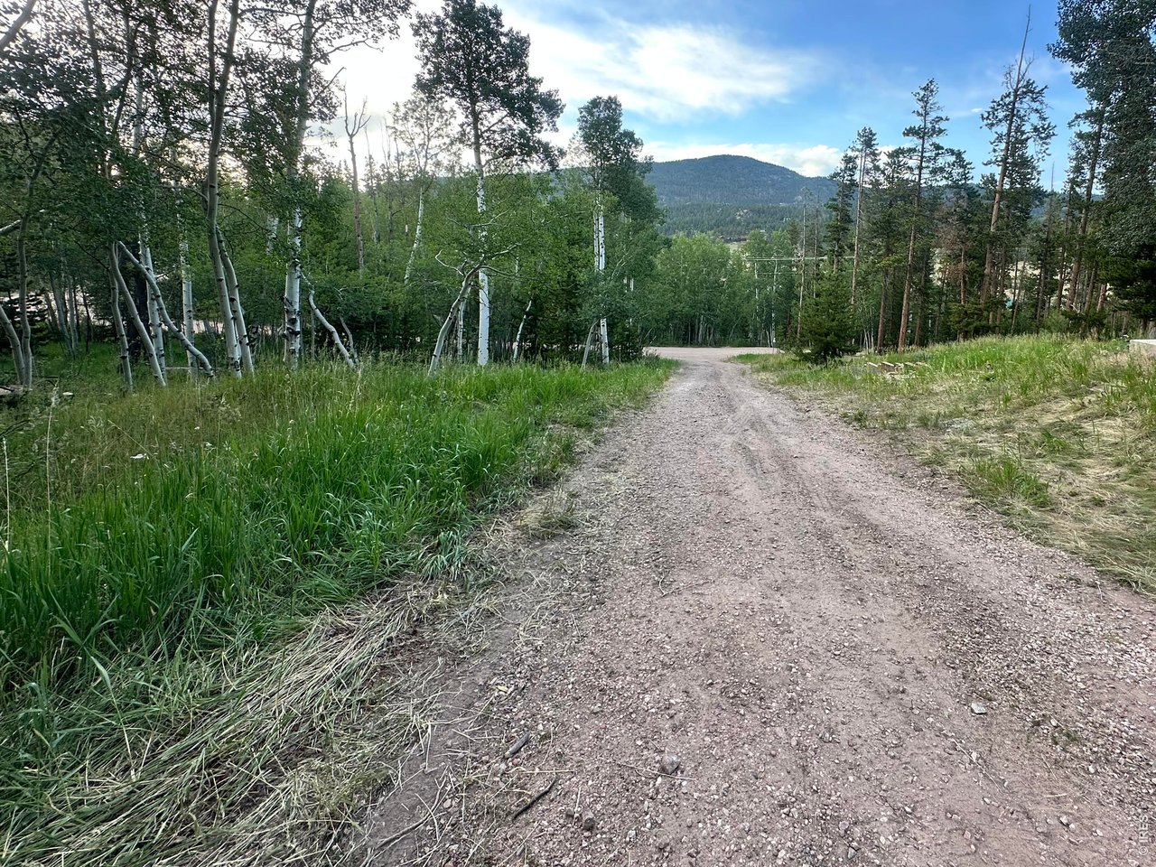 Escape to the mountains and enjoy the perfect blend of comfort, adventure, and Colorado beauty in this charming Crystal Lakes retreat. This well-maintained home offers 3 spacious bedrooms, each featuring walk-in closets, and 2 bathrooms - each with their own jetted tubs, providing plenty of room for family and guests. The inviting main level, a cozy propane fireplace, built-in bookshelves, and an open-concept kitchen complete with a large island, double Wolf electric ovens, a Wolf gas cook top with a commercial fan, and abundant cabinetry. All appliances are included, including the 3-tier dishwasher, clothes washer and dryer, and refrigerator; making this home truly move-in ready. Step outside and take in the peaceful mountain setting from the large deck; perfect for entertaining or simply soaking in the fresh alpine air. This property offers access to private lakes, world-class fishing, and endless opportunities to enjoy the outdoors. The freshly mitigated 2.57 acre property with 2 driveways, Generac System, metal roof, and propane tank make this home a turn-key dream!