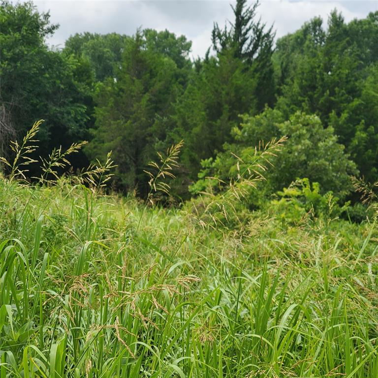 1.29 acre building site on NE70th Ct. Lots of mature trees. Needs mowing but would make a nice building site. Nice homes in the area.