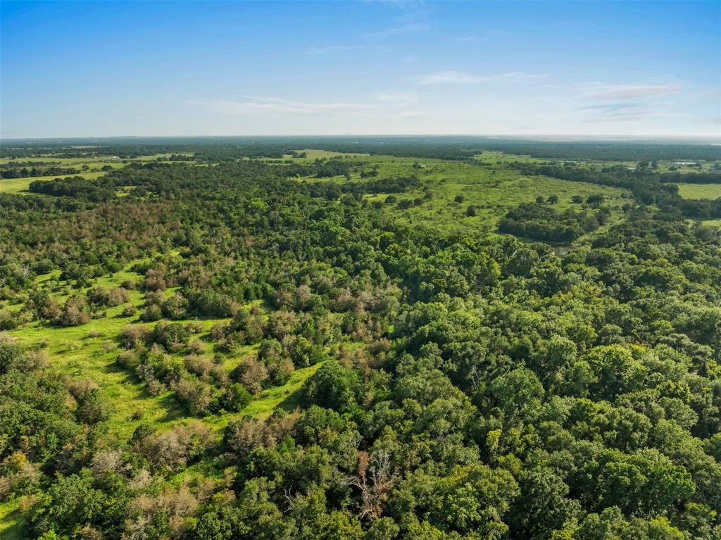 Discover your own slice of Texas with this expansive 180-acre property situated between Thornton and Kosse, TX. Located just ±5 minutes from Lake Limestone, this land offers agricultural potential, recreational opportunities, and serene living. The property features a cabin to accommodate overnight stays, along with a workshop for storage and projects. For the fishing enthusiast, three stocked fishing tanks are scattered across the land, offering endless opportunities for angling. The terrain is a mix of pasture for livestock and farming, and wooded areas for hunting and wildlife.