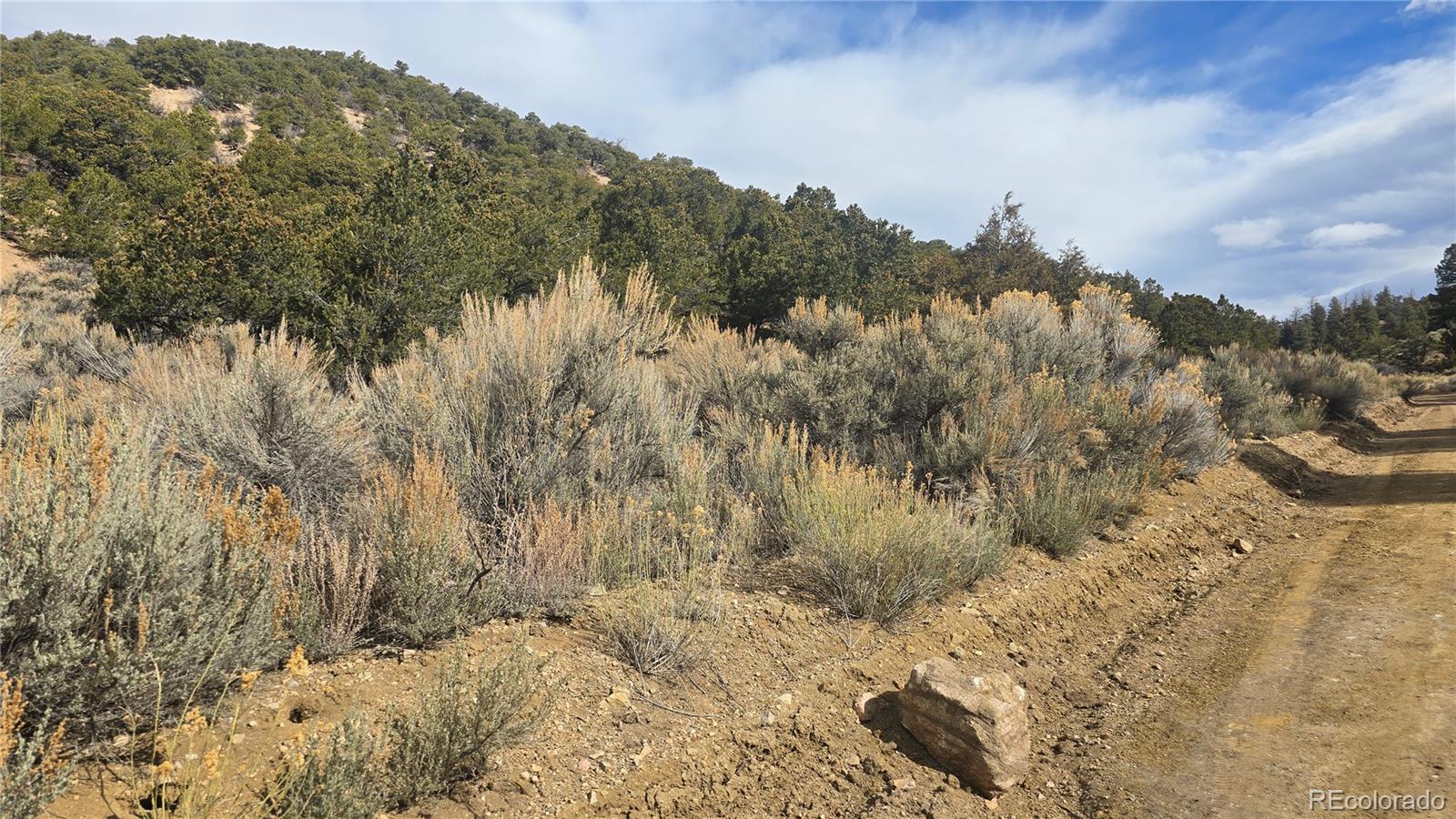 Lot 1628 Hidalgo Road