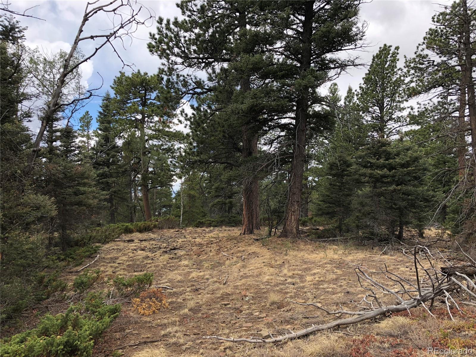 Lot 174 Ferris Place