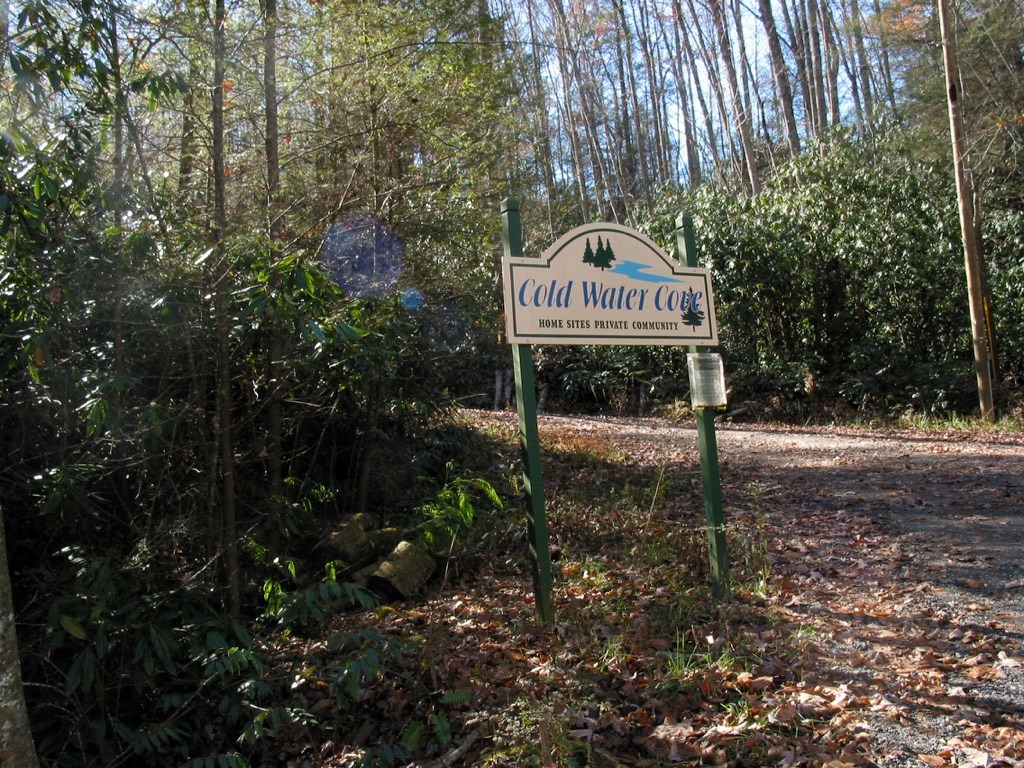 Fiddle Fern Loop