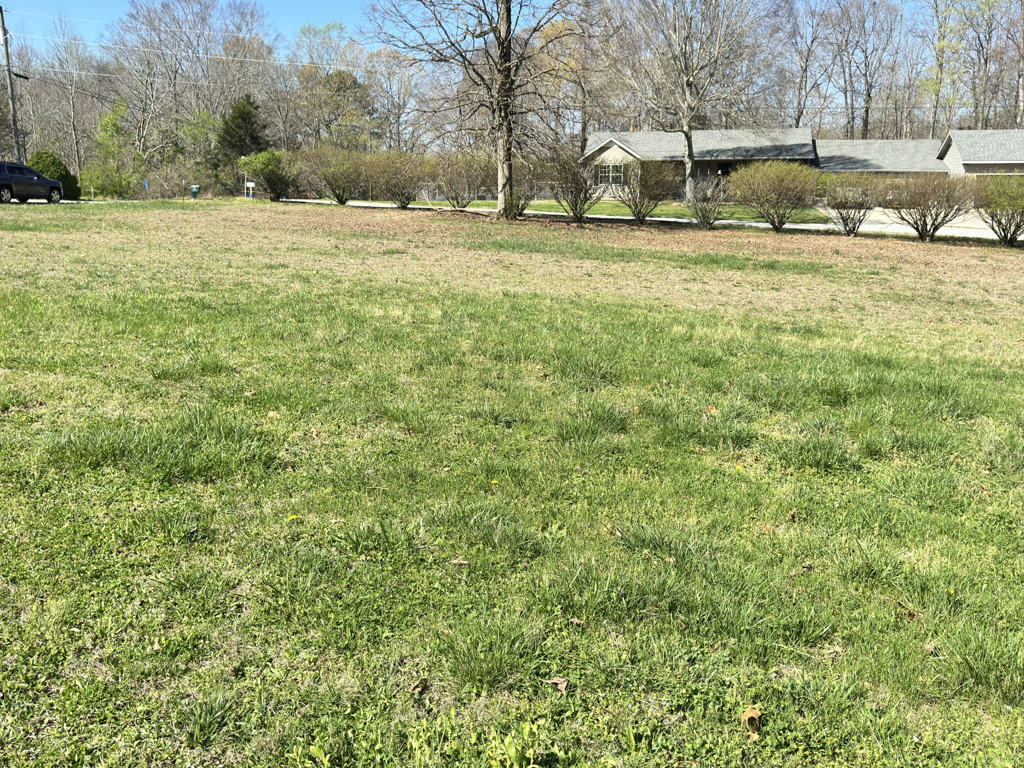 Lovely level lot just waiting for you!! Lot has not been perked. The only restrictions are no mobile homes. Tax ID for parcel is 044 041.04