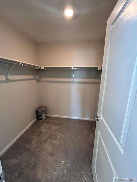 393 Grey Rock Street