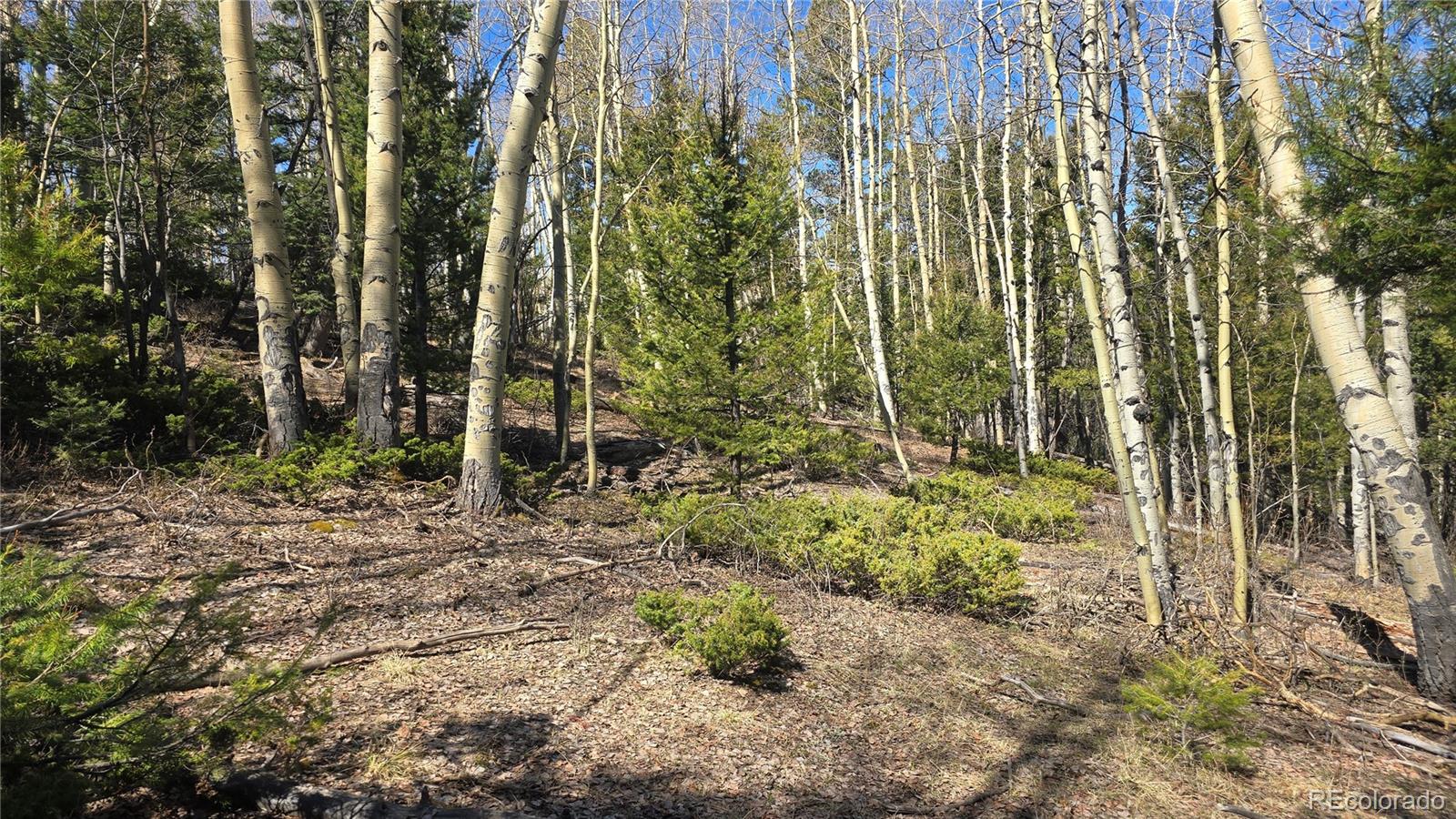 Lot 6708 Debbie Road