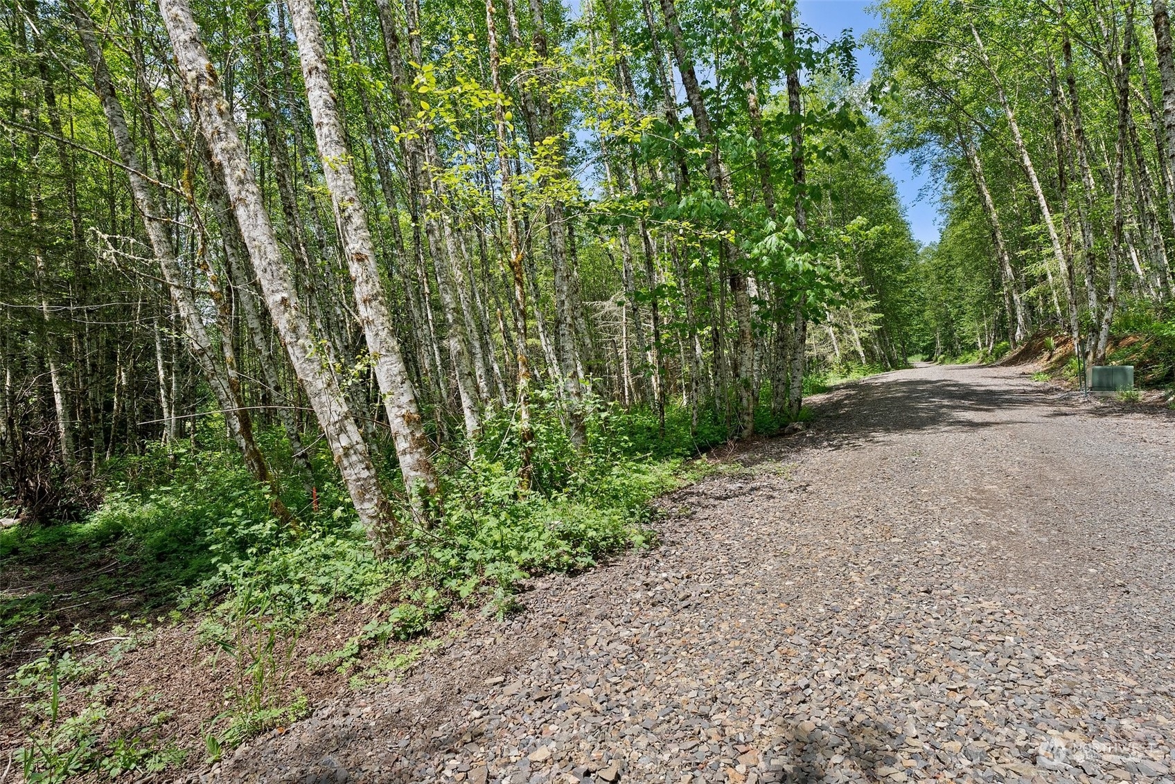 Located on dead end road, this secluded 2.15 acre lot has a private well (7 gpm), 20x50 well pad, 3" punched driveway, power on property, approved for standard gravity fed septic system, and surrounded by fir, cedar, maple, and alder trees! Some pasture/clearing also with views of surrounding trees and pond. Nearby Mayfield and Riffe Lakes for summertime enjoyment and White Pass for winter enthusiasts not far away! I-5 is 30 minutes! Morton just minutes away with restaurants, movie theater, and bowling alley. You won't want to miss out on this lot!