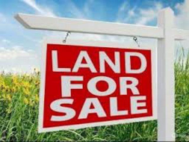 Lot 2 41.94 Acres out of 221.74 Acres great location for your business.