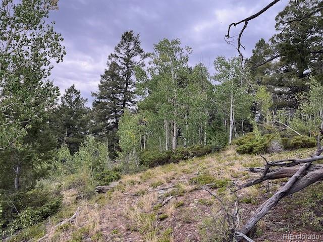 Lot 6184 Ryland Road