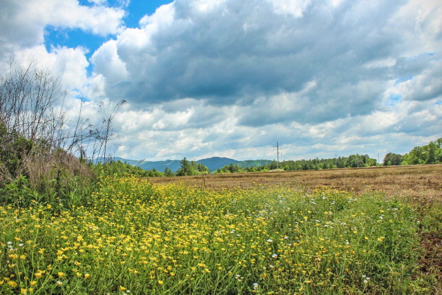 Flat, vacant 0.5+/- acre fronting 64 East Alt and Harshaw Place. Location, Location, Location! It doesn't get better!