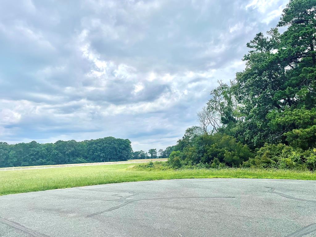 Large waterfront cul de sac lot in the community of Baywatch in New Church, Va.  Property has a view of the pond at the front of the lot and touches the creek at the back of the lot.  This community is located on Pitts Creek and has a pier that is great for crabbing and fishing.  Community has several man-made ponds. community dry-hydrant fire hydrant, and a community barn for the family horse.  Just minutes from the Maryland/Virginia stateline and just a short commute to the NASA/Wallops Flight Facility.  PRICED WELL BELOW ASSESSMENT...so this lot is PRICED TO SELL!!!