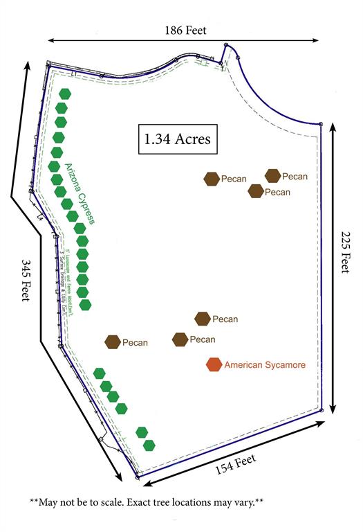6205 Altamura