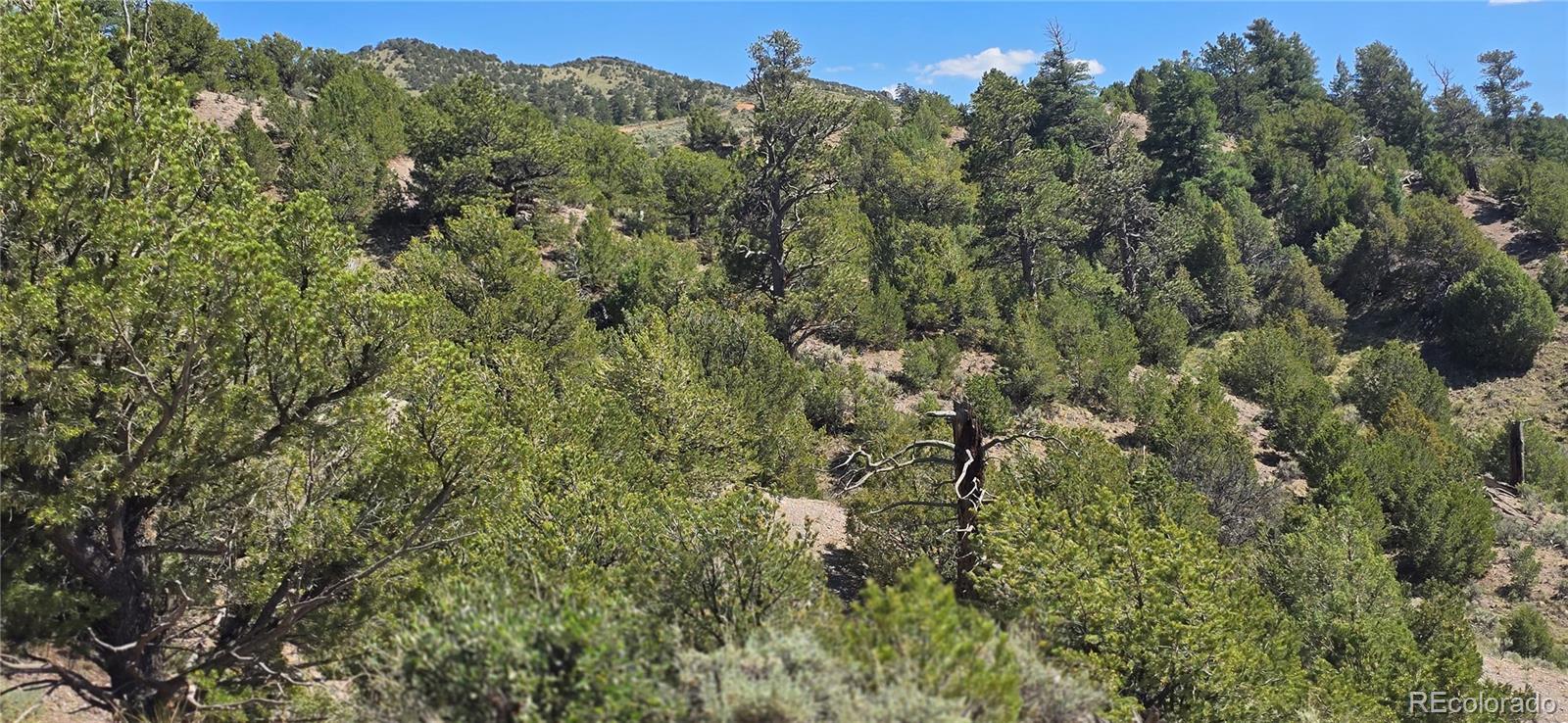 Lot 4618 Beekman Road