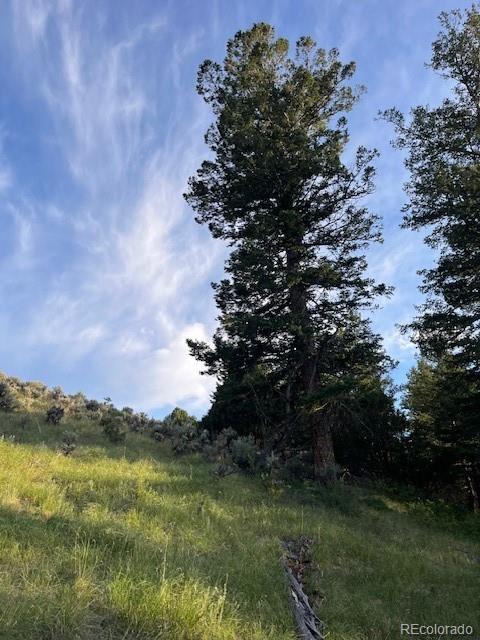 Lot 4630 Spring Road