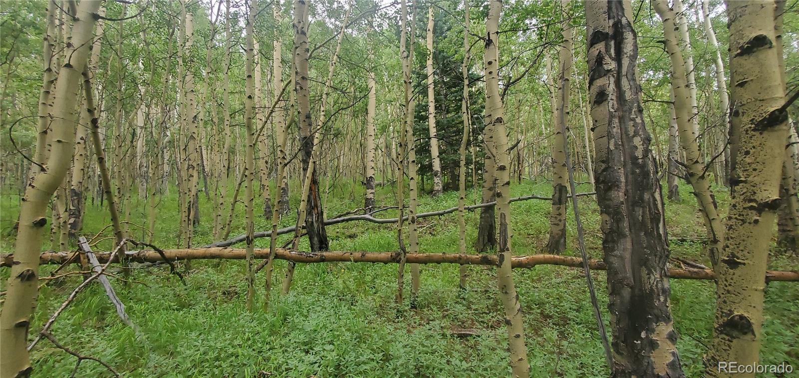 Lot 6882 Donna Road