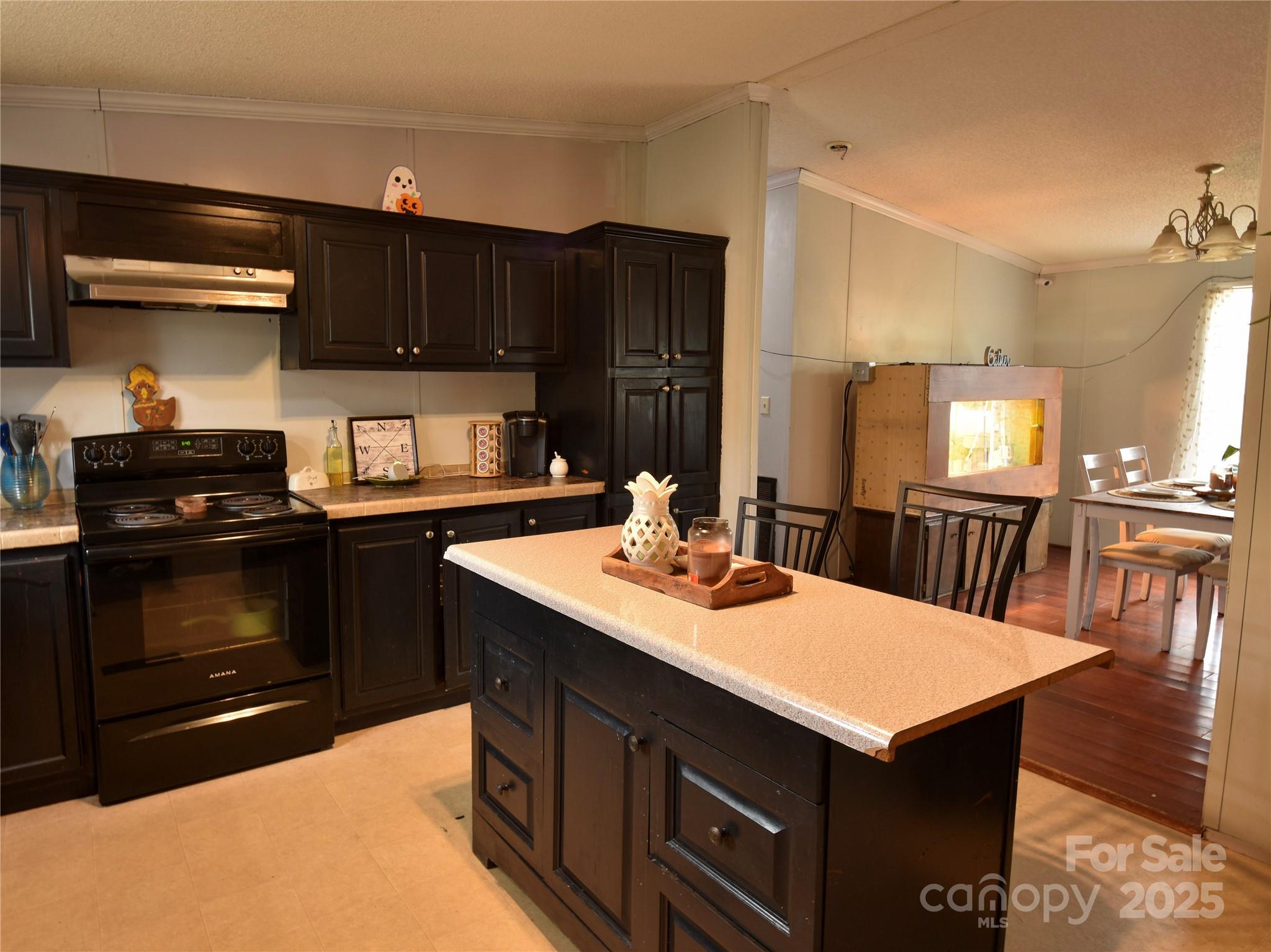 1007 W Cabaniss Road