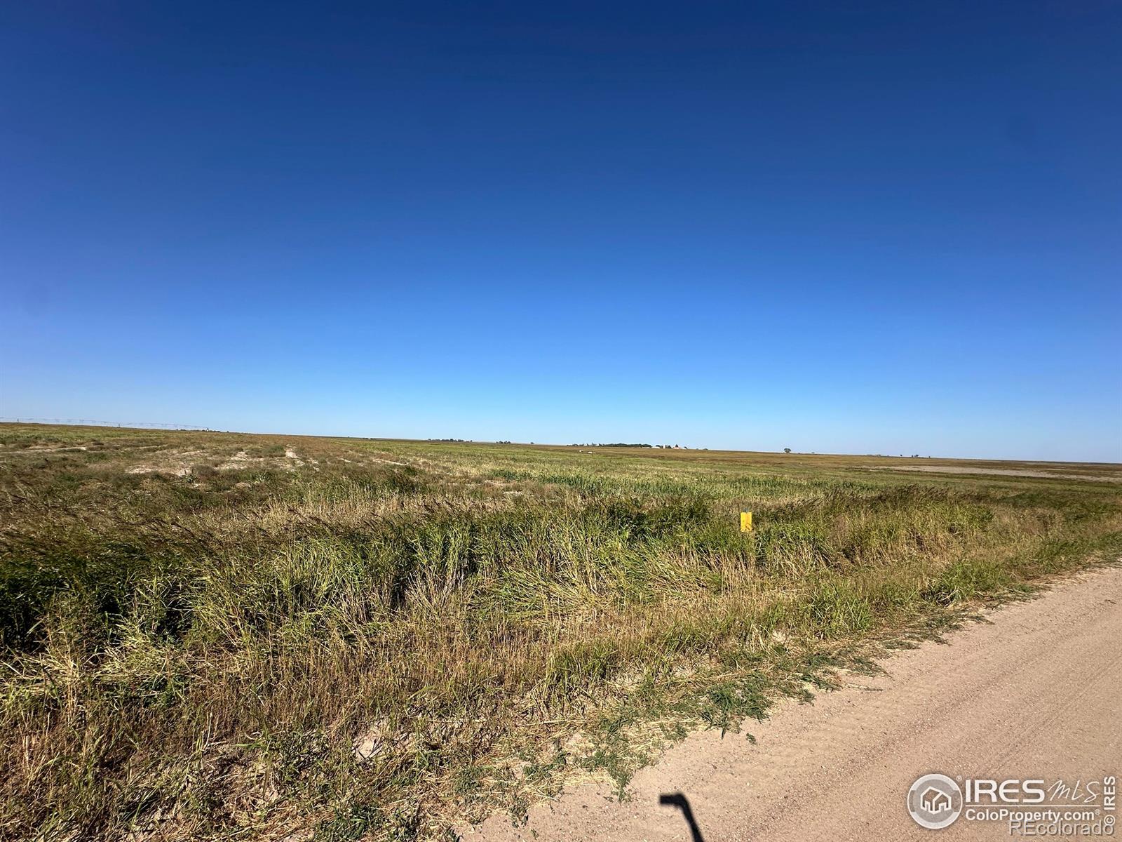 NW4 Section 2-T23S-R42W - 131.10+/- acres farmland; 84.27+/- acres irrigated, 33.65+/- acres dryland, 7.03+/- acres grass, 5.76+/- acres pond waste.Base; 11.22 acres wheat/32bu PLCSE4NE4 Section 3-T23S-R42W - 38.8+/- acres farmland; 32.09+/- acres irrigated, 6.71+/- acres dryland. Base; 24.67+/- acres wheat/27bu PLC, 12.33 acres sorghum/38bu PLC. Amity Mutual Irrigation Shares; #3752 30 shares, #3753 10 shares. Includes center pivot & supporting irrigation equipment. Currently subject to lease.