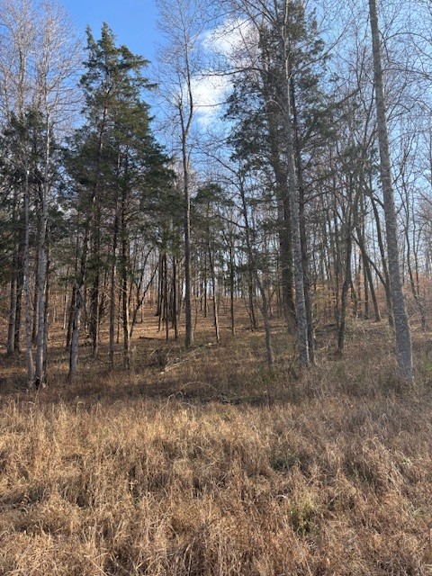 3927 Highway 70 E
