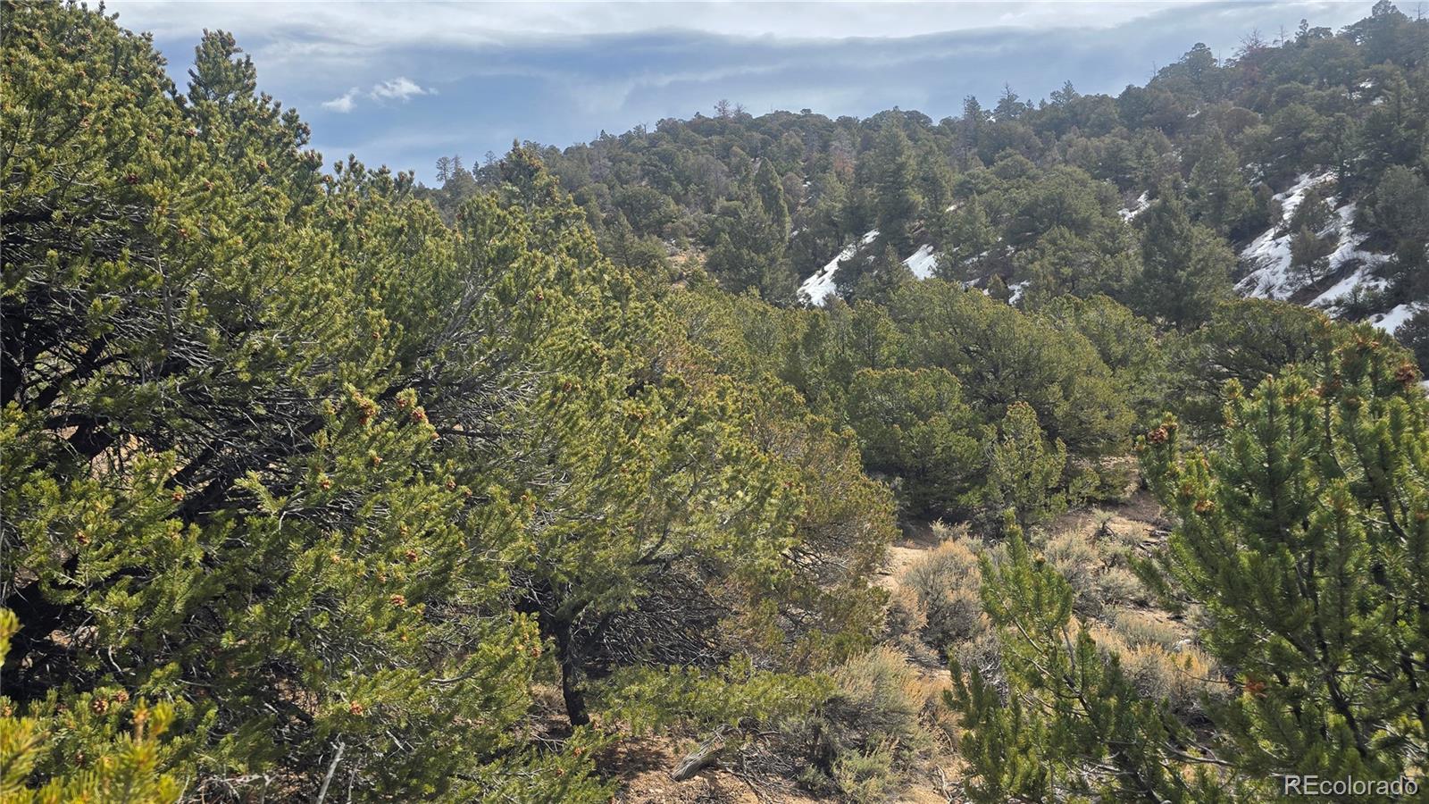 Lot 1628 Hidalgo Road