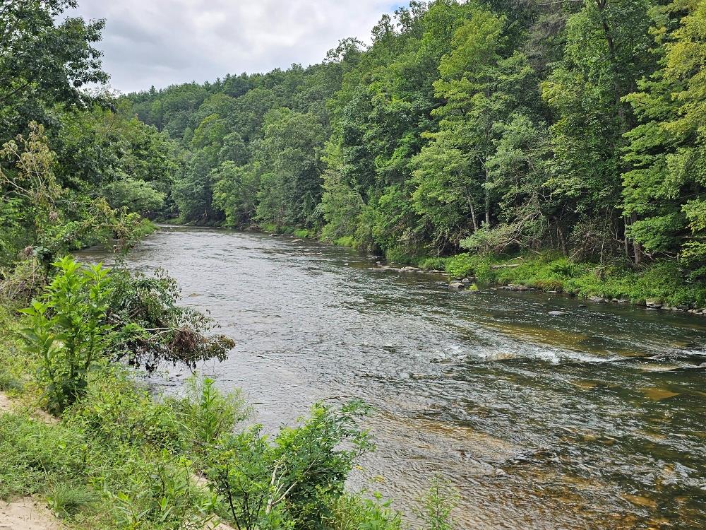 FRONTAGE ON LITTLE RIVER! Escape to this charming board and batten cabin fronting on the picturesque Little River, nestled on 1.94 stunning acres of natural beauty and privacy. Living on the river means 24/7 access to everything it has to offer—whether it's fly fishing, tubing, kayaking, gathering around the campfire, or simply relaxing by the water with family and friends. The main level of the cabin features an open-concept living area with a cozy wood stove, a fully equipped kitchen, bedroom, bathroom, and access to a spacious open deck perfect for enjoying the peaceful surroundings. The finished basement includes an additional bedroom, full bath, and laundry area—ideal for guests or extended stays. A paved driveway, outbuilding, and seclusion add to the property's appeal. Come enjoy the endless recreational opportunities this unique riverfront retreat has to offer! Schedule your showing today!