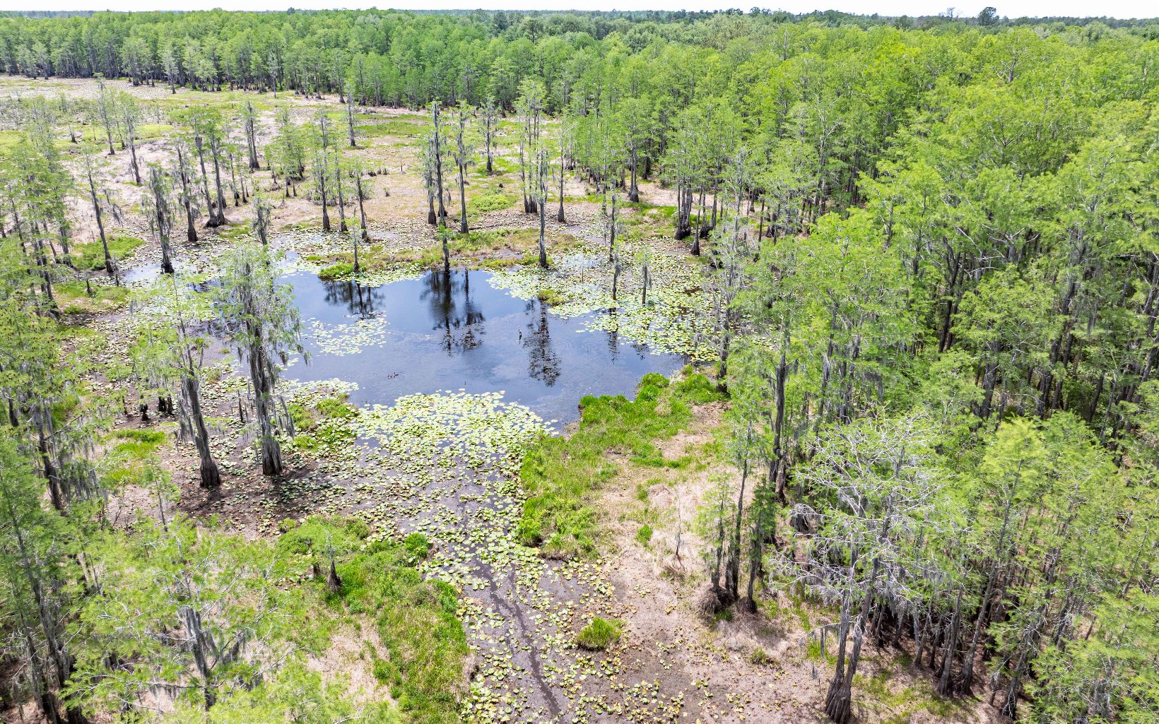 1285 SE Koon Lake Rd