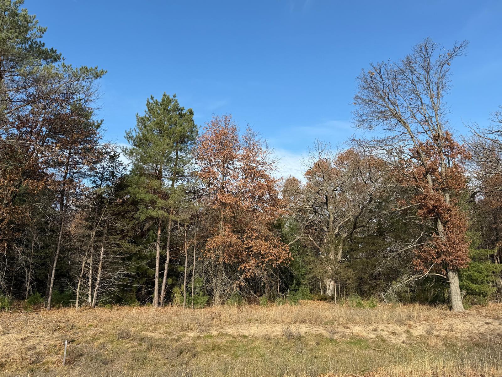 Welcome to an exceptional opportunity to own acreage in a highly desirable wooded development. These 2.5–4+ acre parcels provide space, privacy, and a beautiful natural backdrop—ideal for a custom home that feels truly set apart.Residents enjoy unmatched access to outdoor recreation with the Sand Dunes State Forest bordering the neighborhood and the Sherburne National Wildlife Refuge right across the road. Thousands of acres of wildlife, trails, and scenery are just steps from your future front door.All of this comes with the added benefit of close proximity to Big Lake and Zimmerman for convenient access to schools, parks, shopping, and everyday essentials. With more than half the lots already sold, now is the time to secure your place in this sought-after community.