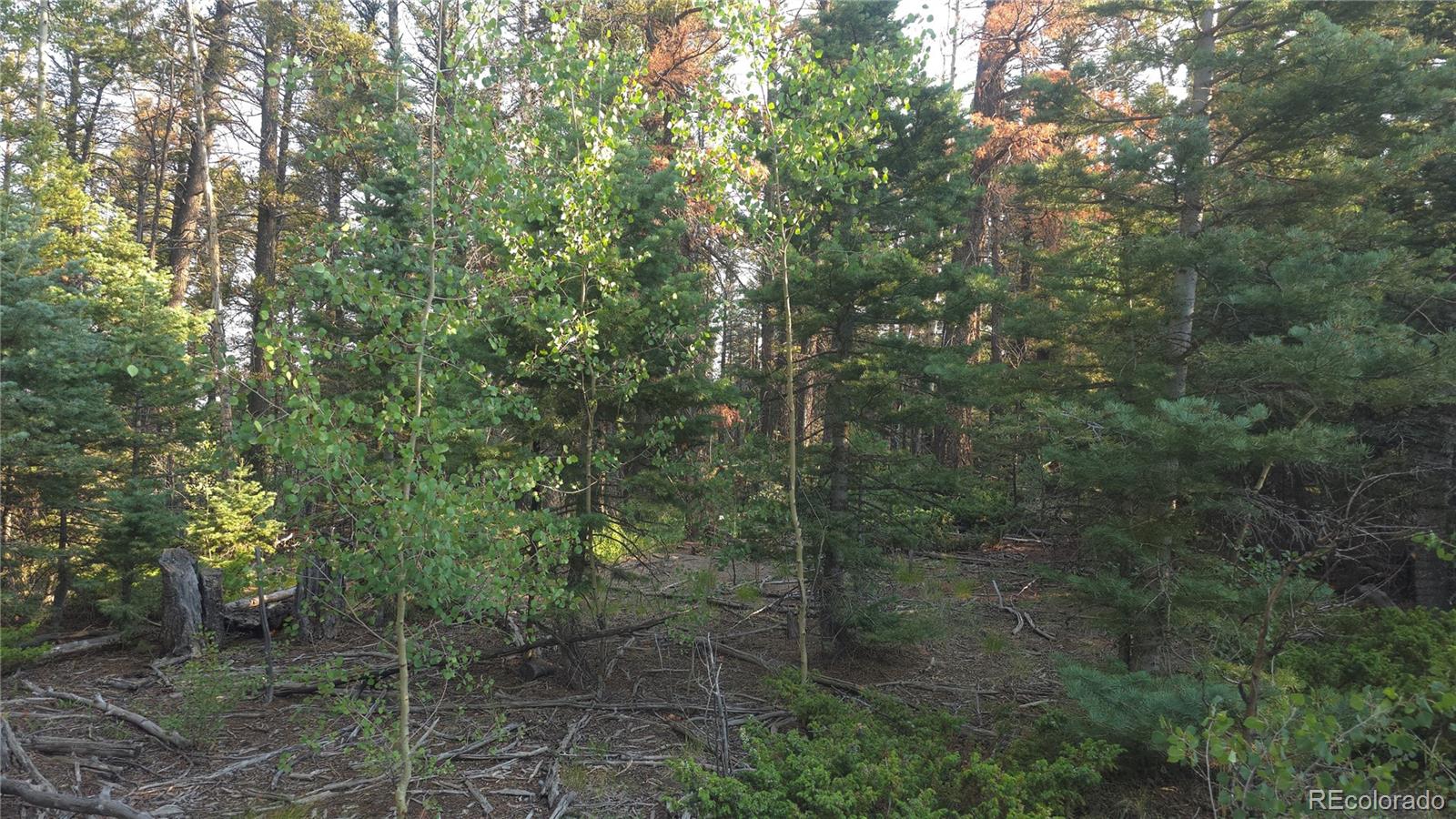 Lot 5768 Clawson Road