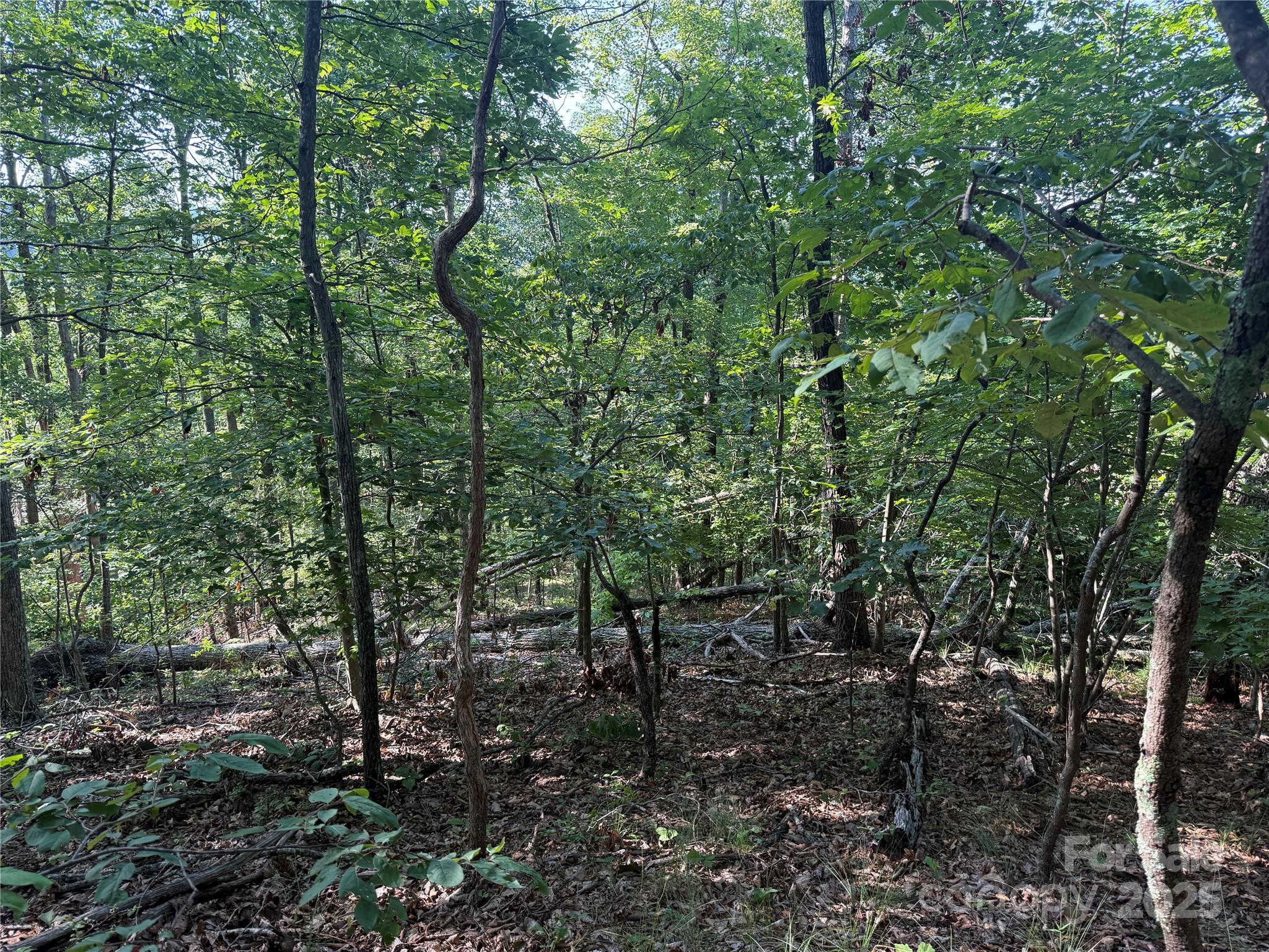 Lot 332 Scenic Vista Drive 332