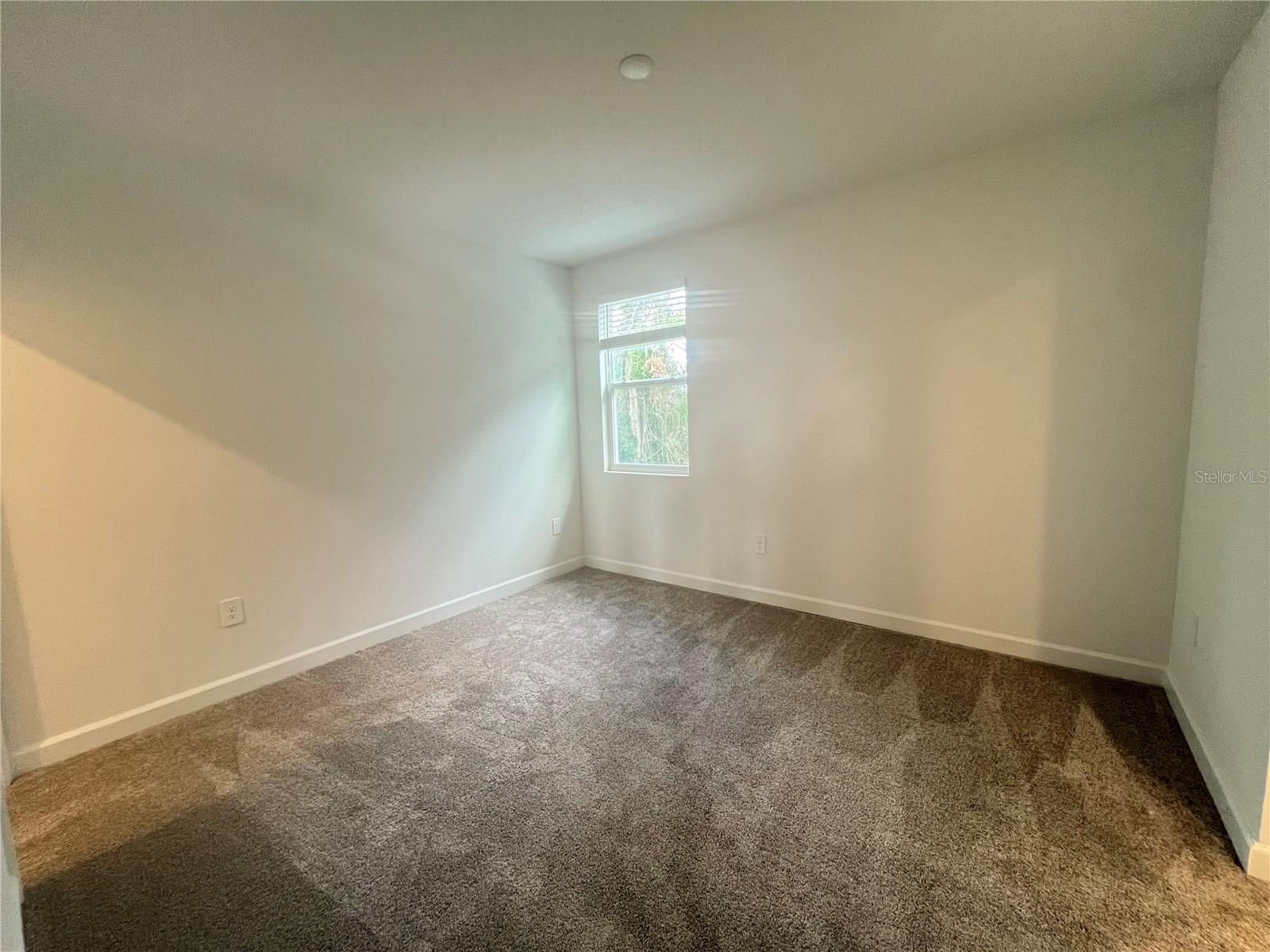 2091 Shaggy Fisher Drive
