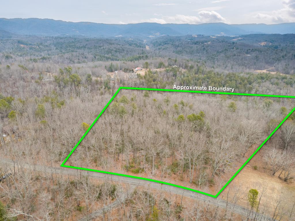 Beautiful prime location ready to build your dream home! This property lays exceptionally well, offering the perfect setting for your custom build with plenty of usable space and endless possibilities. Conveniently located just 10 minutes from town, you'll enjoy the best of both worlds, peaceful surroundings with easy access to nearby attractions. Turn left and step back in time in the famous town of Mayberry, inspired by The Andy Griffith Show. Enjoy nostalgic town tours in the classic sheriff's car or hop aboard the trolley, explore charming local shops, and experience delightful hometown eateries. Turn right and find yourself on the scenic Blue Ridge Parkway, where breathtaking mountain views await. Spend your days exploring award-winning wineries or enjoying the Mayberry mills dining experiences, or simply stopping along the Parkway for a peaceful picnic surrounded by nature. Whether you're looking for tranquility, adventure, or small town charm, this property offers it all. Your dream home starts here!