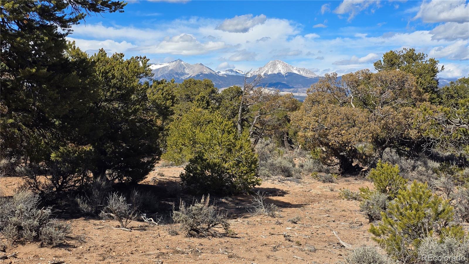 Lot 409 Williams Road