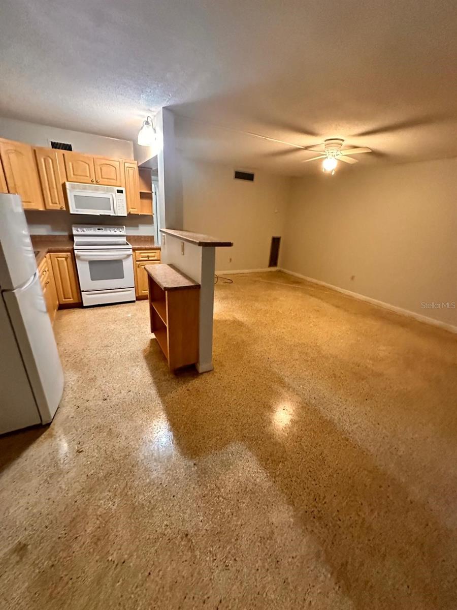 305 E Dakin Avenue 11