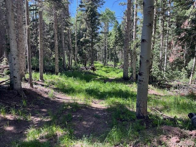 Lot 2684 Coder Place
