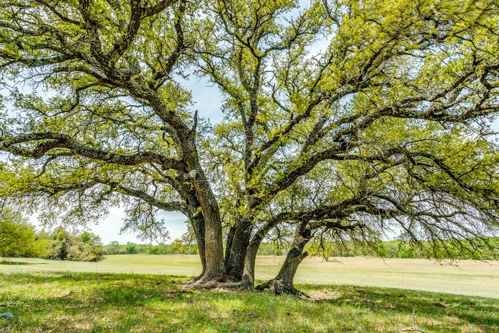 Parker County Land & Ranches for Sale t2 Ranches