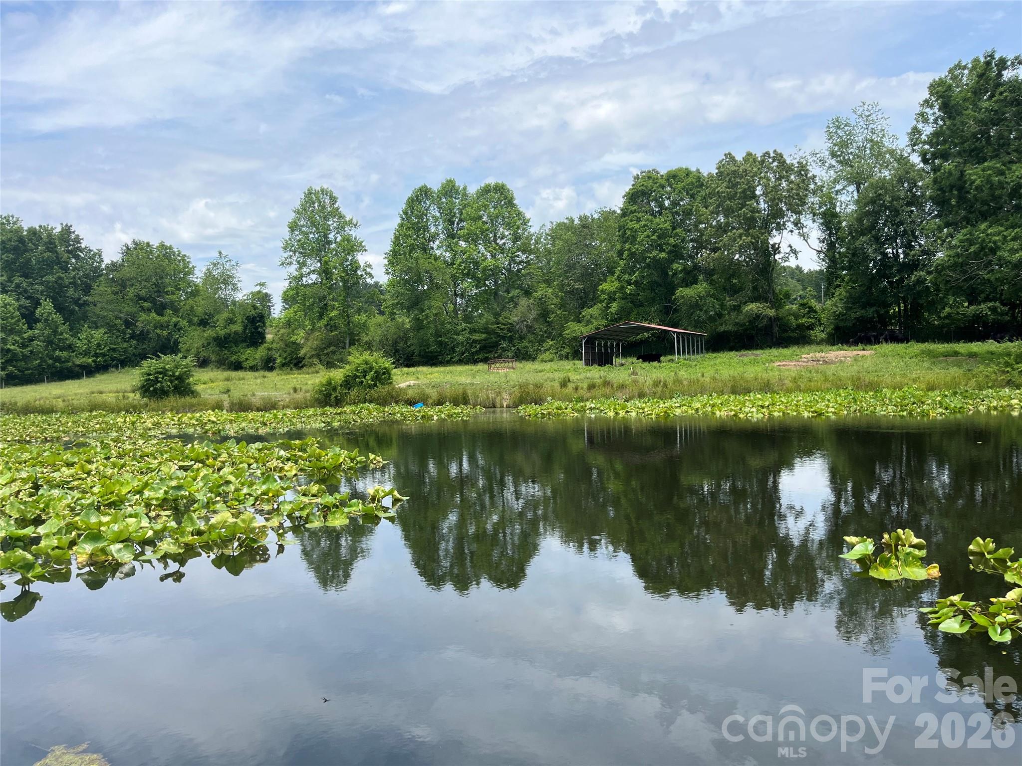 Family Owned Farm for almost 200 years! Level pasture with 1.5 acre pond, year round Pinner Creek, NOT IN FLOOD ZONE. 15 acres +- of pasture, elevated homesite with views overlooking pasture and pond, ideal for  livestock (pigs, sheep, goats, cows, horse, chickens, etc.) Currently under farm taxes. 3 accesses with one to best homesite on Jones Road and two others for farm access on Willis Road. 6 stall horse barn with hay loft, additional run in and tractor shed are all about threes years old. One and one half acre spring fed pond with island lilly pads loved by geese. All of the property is fenced and cross fenced with cattle gates. Unbelievable oasis just off 25 South. Close to Asheville Airport and all of the mega box store shopping and restaurants and all of the amenities associated with south Asheville.