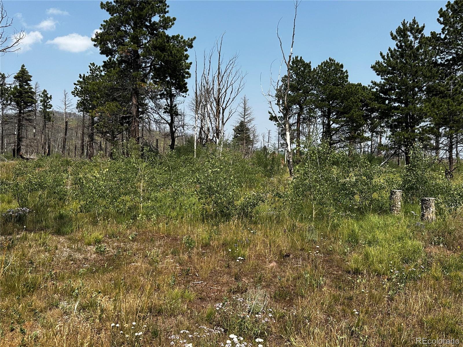 1718 Mara Loop