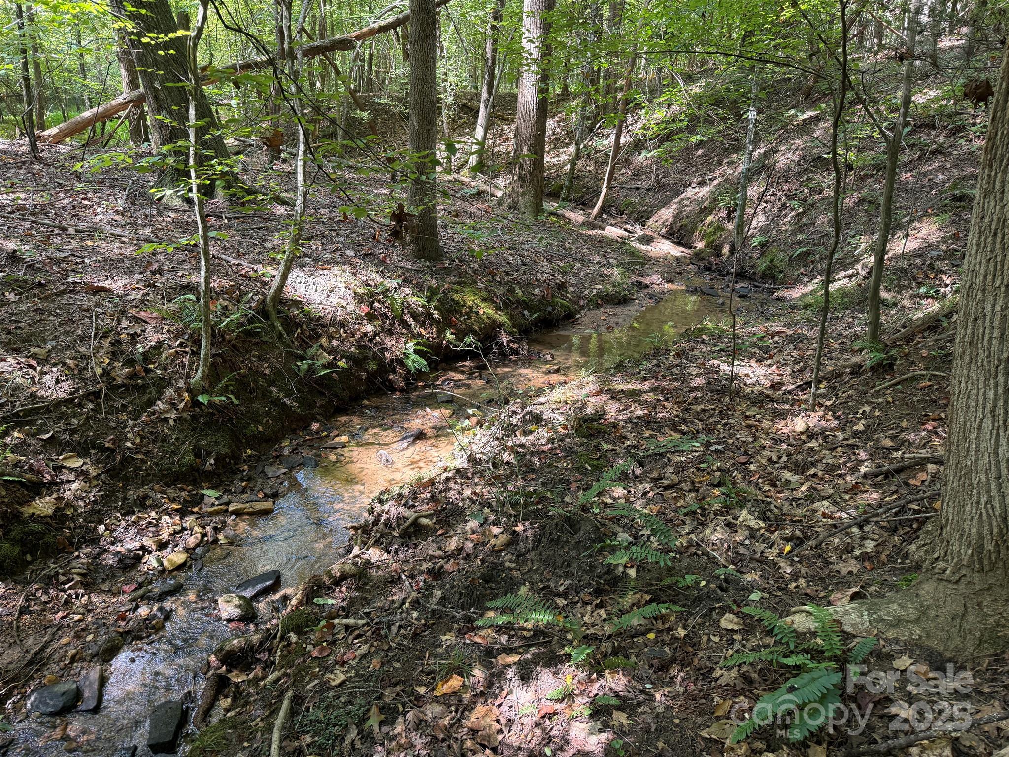 0 Mountain Brook Trail 298