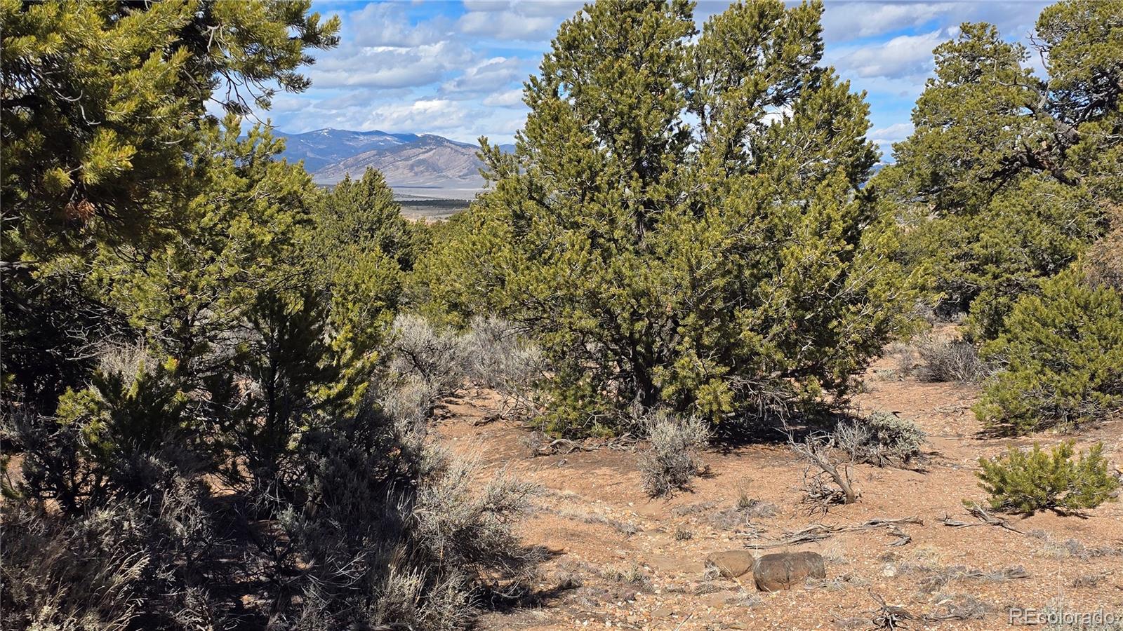 Lot 409 Williams Road