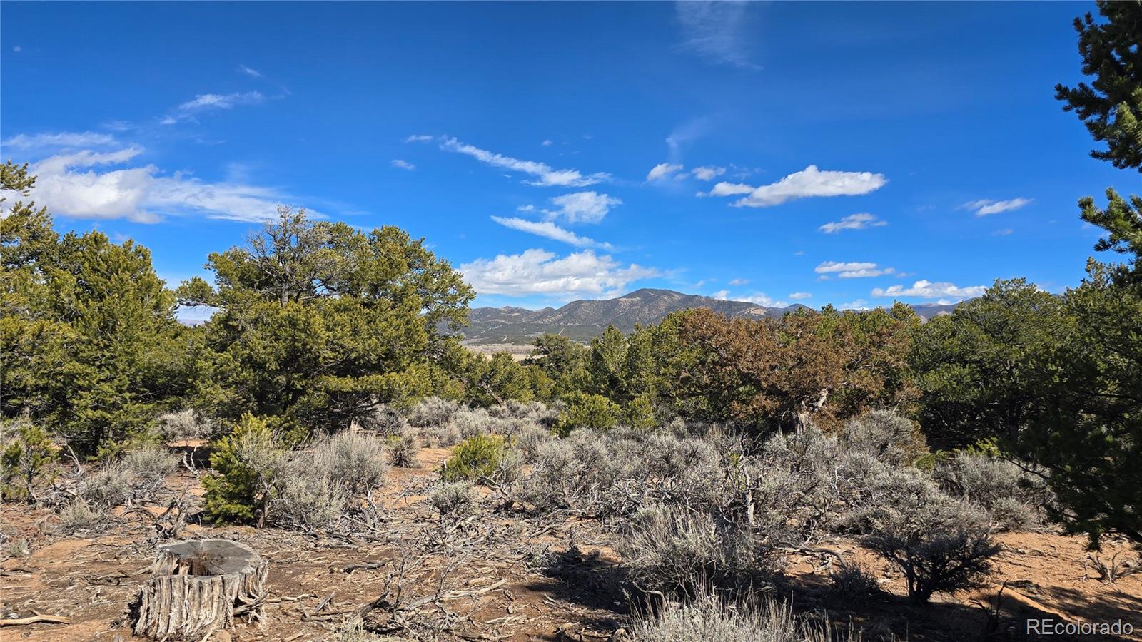 Lot 409 Williams Road