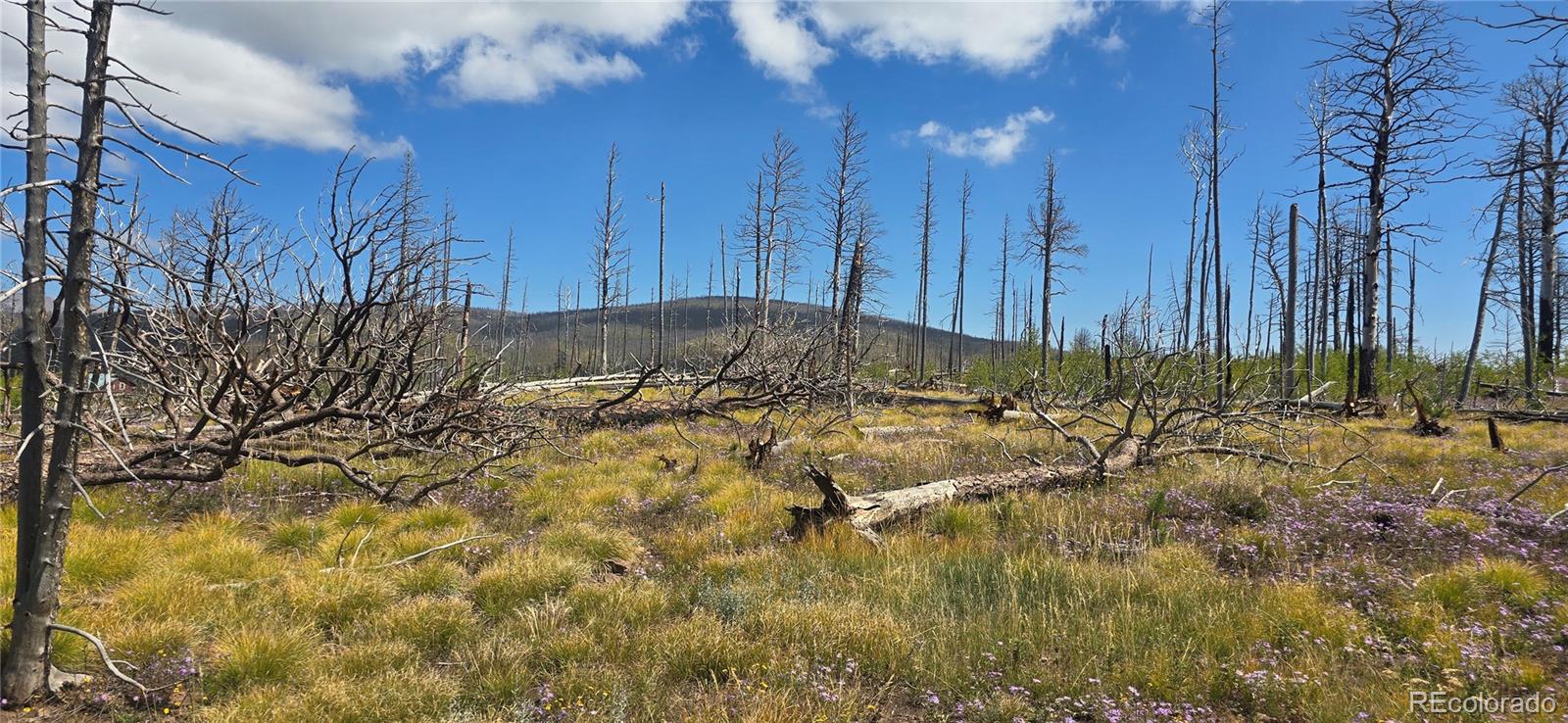 Lot 1242 Granville Loop